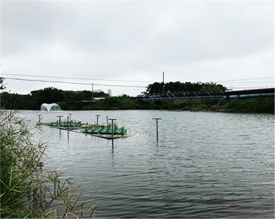 未標(biāo)題-黑偉黑偉沉水式風(fēng)機(jī)使用方便噪音?。? />
</p>
        </div>
        <!--分頁(yè)-->
        <div   class=